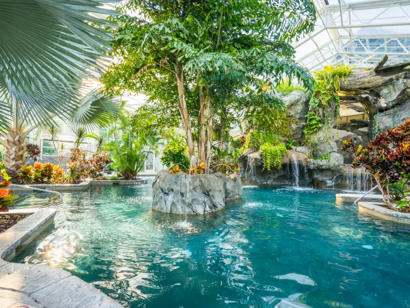 Biosphere pool complex