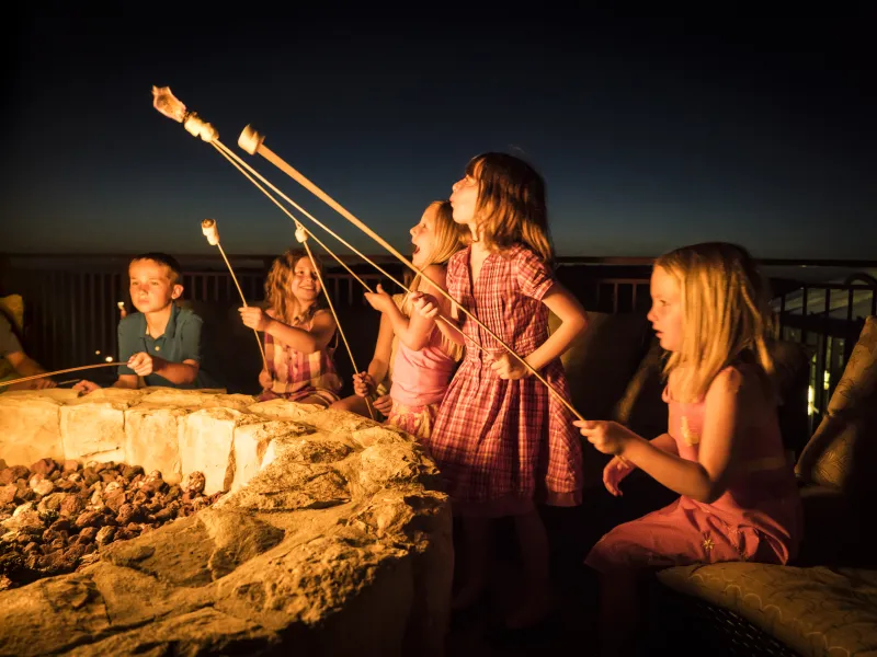 Kids roasting marshmallows