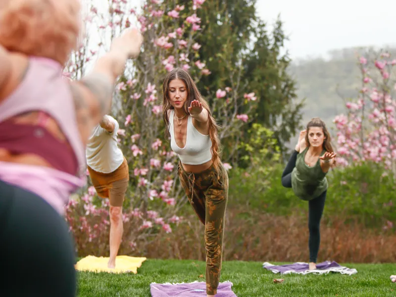 Group outdoor yoga practice