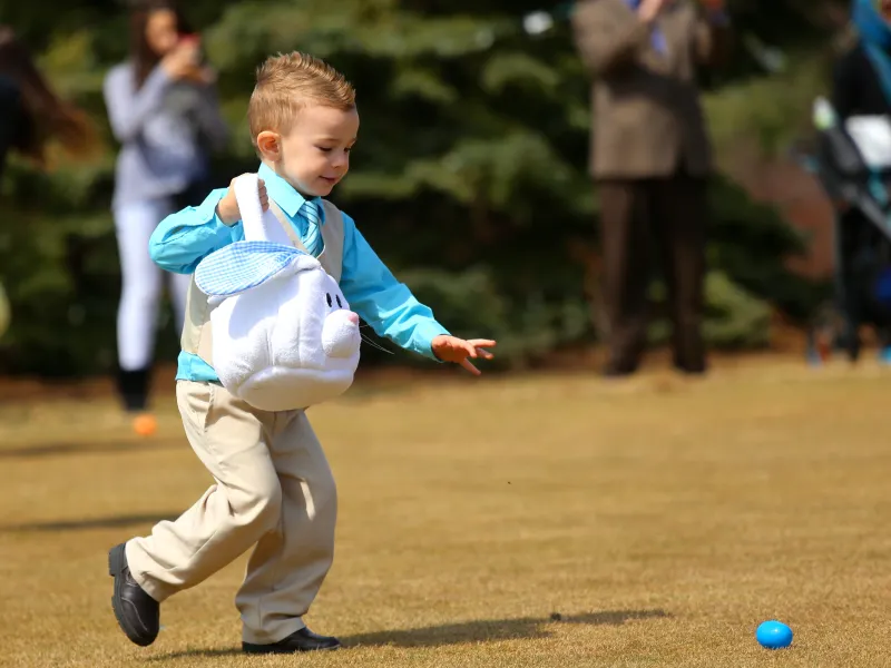 Young boy doing an easter egg hunt.