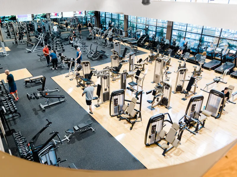MSC Gym floor with an array of equipment.