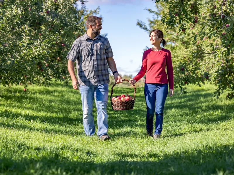 Couple walking in Apple Orchard.
